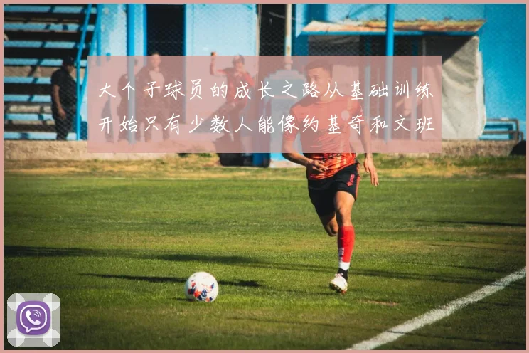 大个子球员的成长之路从基础训练开始只有少数人能像约基奇和文班那样成功