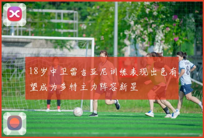 18岁中卫雷吉亚尼训练表现出色有望成为多特主力阵容新星