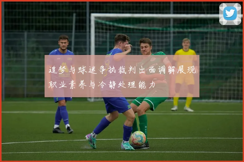 追梦与球迷争执裁判出面调解展现职业素养与冷静处理能力