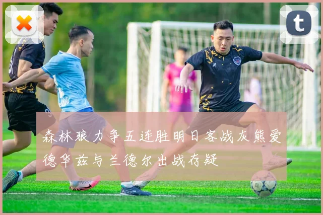 森林狼力争五连胜明日客战灰熊爱德华兹与兰德尔出战存疑